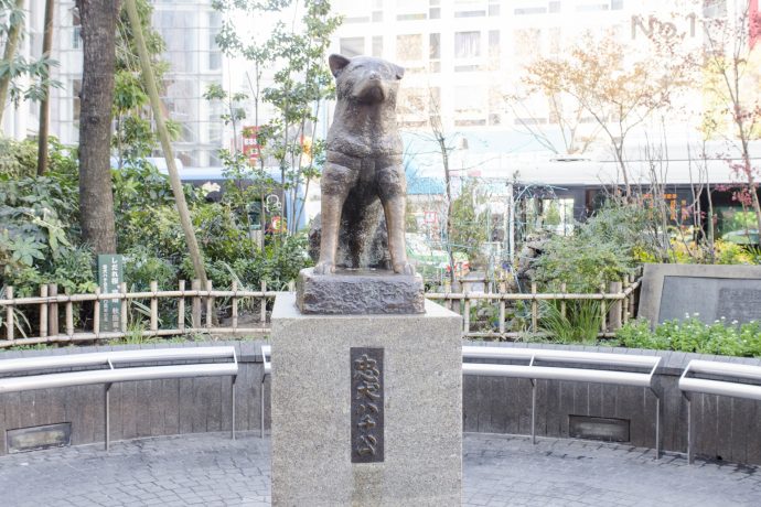 海外で人気の犬は 秋田犬や柴犬など日本犬の知名度は Howtravelマガジン
