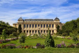 Muséum national histoire naturelle in paris