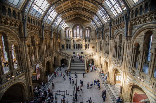 ロンドン自然史博物館の観光情報 作品 料金 行き方 営業時間 Howtravel ロンドン自然史博物館の観光情報 作品 料金 行き方 営業時間 Howtravel