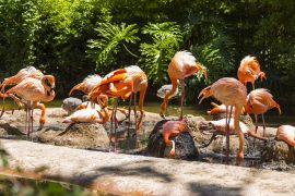 Parc Zoològic de Barcelona