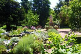 Chelsea Physic Garden