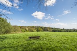 Hampstead Heath