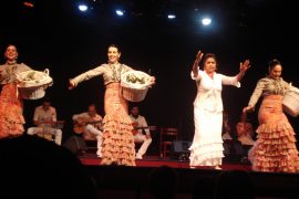 Palacio del Flamenco