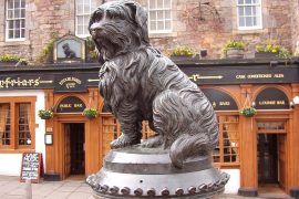 Greyfriars Bobby＆Greyfriars Church