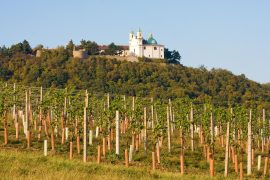 Kahlenberg　Leopoldsberg