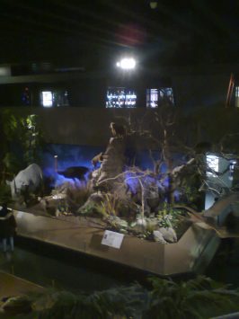 Museum Histoire Naturelle