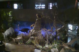 Museum Histoire Naturelle