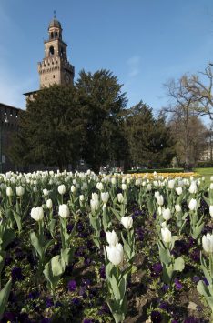センピオーネ公園の観光情報 歴史 料金 行き方 営業時間 Howtravel センピオーネ公園の観光情報 歴史 料金 行き方 営業時間 Howtravel