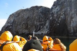 Scottish Seabird Centre