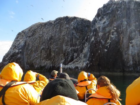 Scottish Seabird Centre