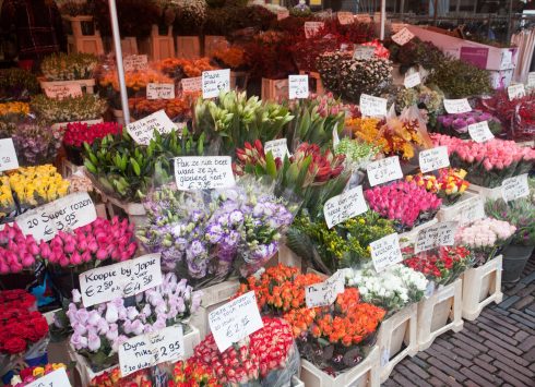 シンゲルの花市でのお土産情報 行き方 営業時間 Howtravel シンゲルの花市でのお土産情報 行き方 営業時間 Howtravel