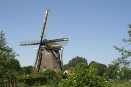 Rieker Molen