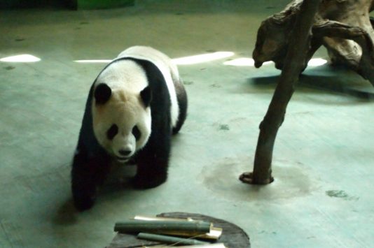 Taipei Zoo