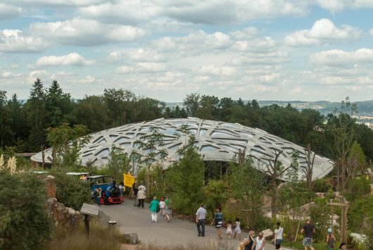 チューリッヒ動物園の観光情報 動物 料金 行き方 営業時間 Howtravel チューリッヒ動物園の観光情報 動物 料金 行き方 営業時間 Howtravel