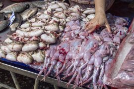 Khlong Toei market