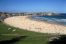 Bondi Market