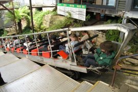 Scenic World