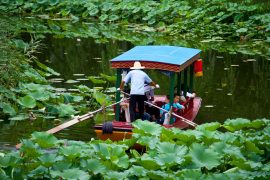 The Black Bamboo Park