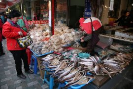 Dried Seafood Market