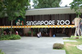 Singapore Zoo