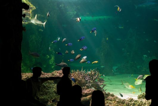 Sydney Aquarium