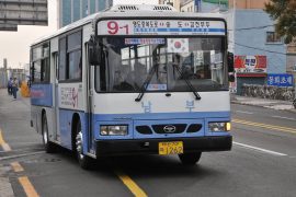 busan bus