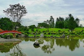 Chinese Garden