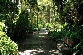 Foster Botanical Gardens