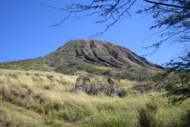 Koko Crater