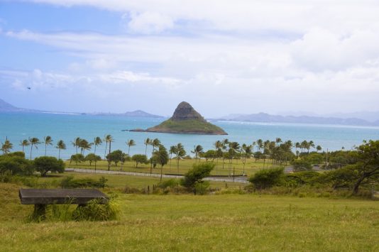 クアロア牧場の観光情報 歴史 料金 行き方 営業時間 Howtravel