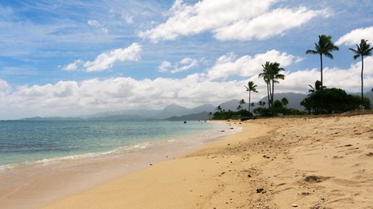 クアロア牧場の観光情報 歴史 料金 行き方 営業時間 Howtravel