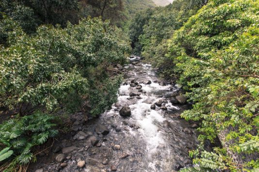 マウイ島中央部