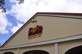 Dole Plantation