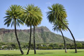 Kapiolani Park