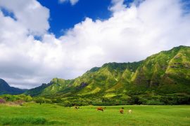 Kualoa Ranch