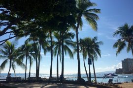 Kuhio Beach Park