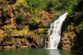 Waimea Valley