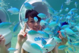 サイパン シーウォーカーの料金 予約方法 営業時間 Howtravel
