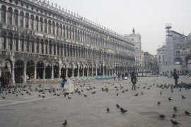 venezia_warning_02