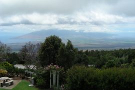 Ali'i Kula Lavender Farm