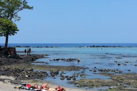 Kahaluu Beach Park