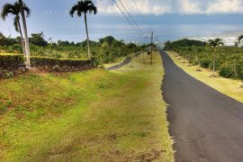 Kona Coffee Belt