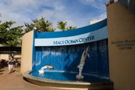 Maui Ocean Center