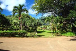 Maui Tropical Plantation