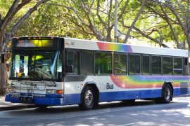 oahu-the-bus