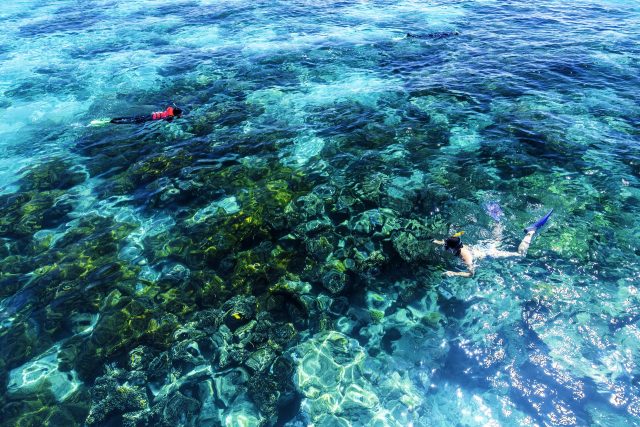 ケアンズ旅行のおすすめ観光スポット5選 Howtravel ケアンズ旅行のおすすめ観光スポット5選 Howtravel