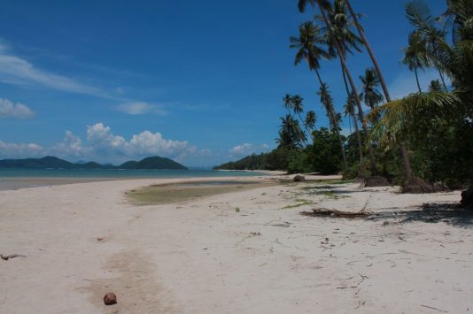 Famous food in Ko Samui